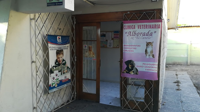 Clínica Veterinaria Alborada - Veterinario