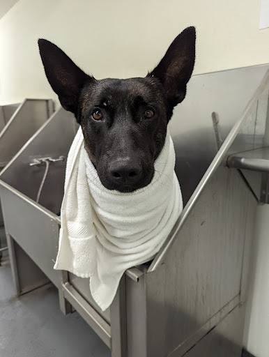 Pet Supply Store «Centinela Feed & Pet Supplies», reviews and photos, 11055 W Pico Blvd, Los Angeles, CA 90064, USA