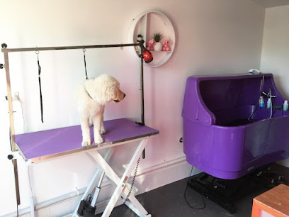 The Pawfect Touch- Dog Grooming Salon, Dog wash Westmeadows