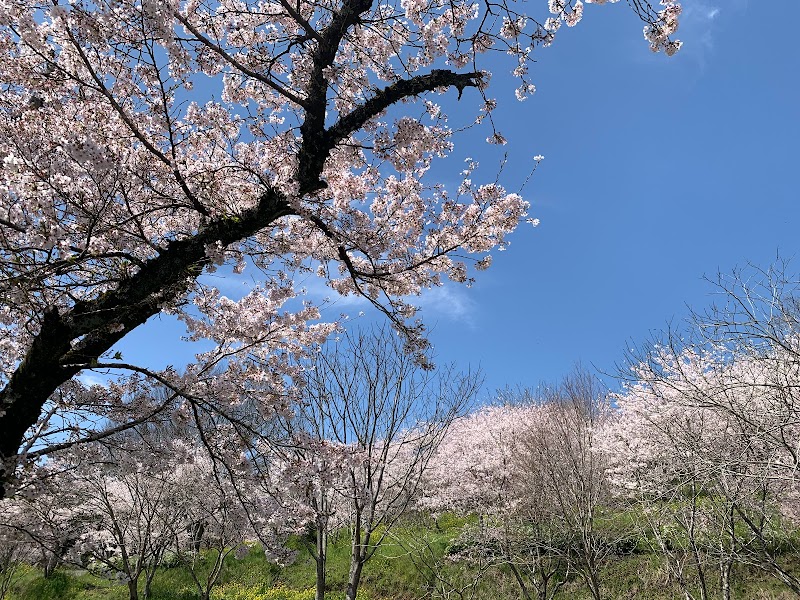 四季の詩公園