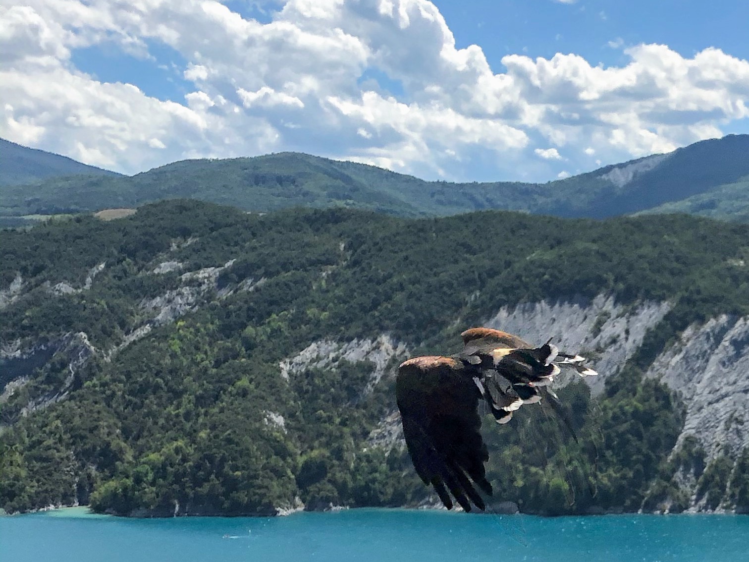 Photo n° 3 de l'avis de Jérémie.r fait le 28/08/2020 à 17:19