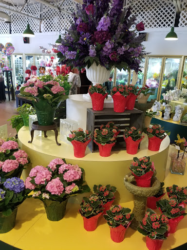 Florist «Thrifty Florist», reviews and photos, 211 S Telegraph Rd, Pontiac, MI 48341, USA