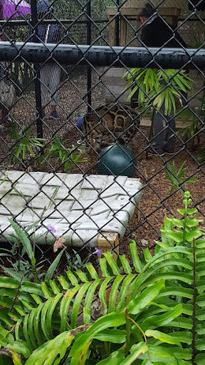 Tourist Attraction «Panther Ridge Conservation Center», reviews and photos, 14755 Palm Beach Point Blvd, Wellington, FL 33414, USA