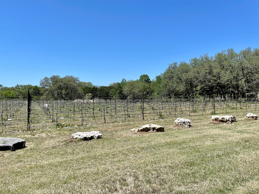 Winery «Fall Creek Vineyards in Driftwood», reviews and photos, 18059 Farm to Market Rd 1826, Driftwood, TX 78619, USA