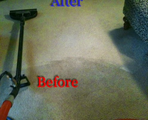 Carpet Cleaning Service «Indy Carpet Cleaning», reviews and photos, 5541 Guilford Ave, Indianapolis, IN 46220, USA