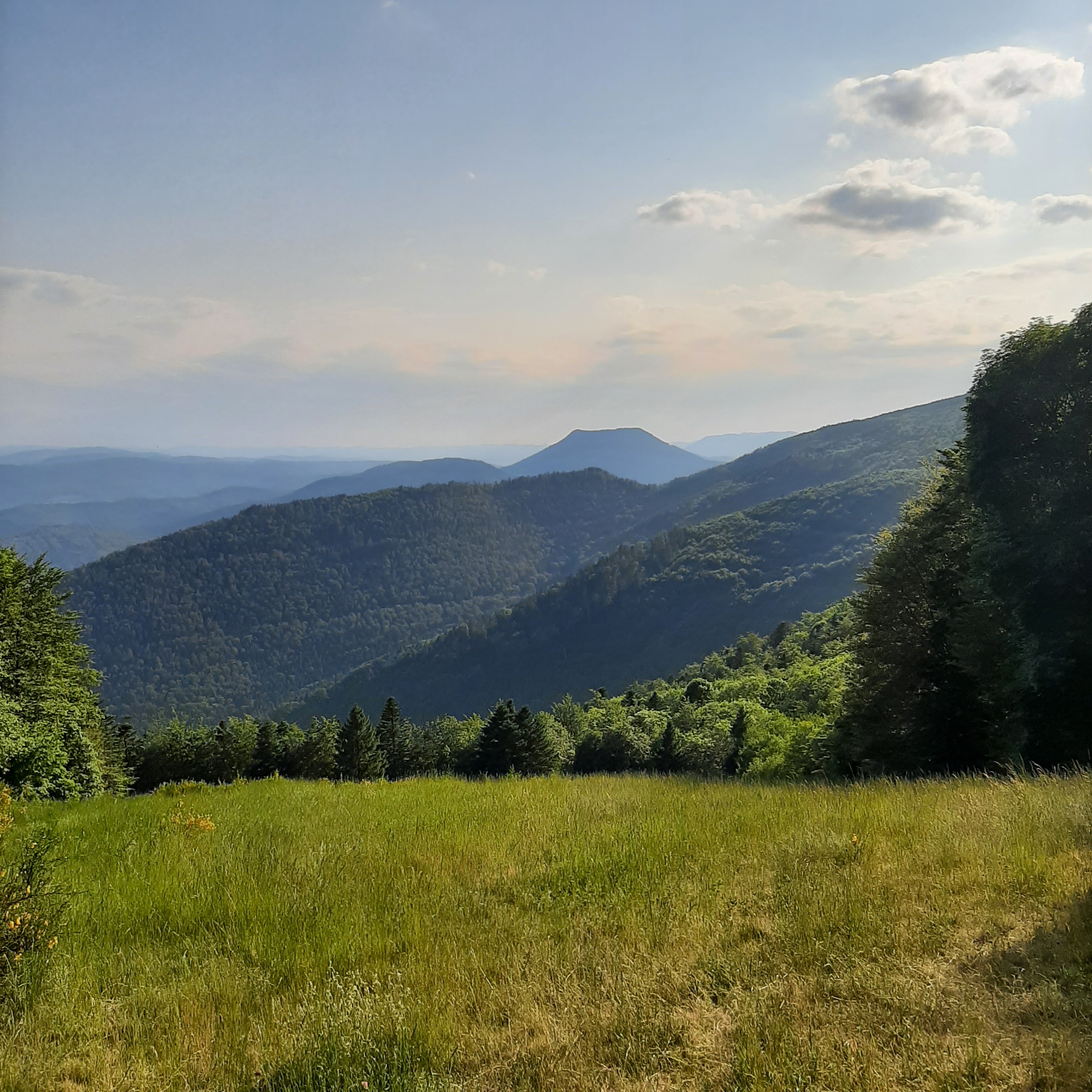 Photo n° 1 de l'avis de Hermeticum.u fait le 18/06/2023 à 22:54