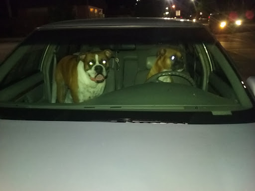 Discount Store «Dollar General», reviews and photos, 413 E Main St, Lowell, MI 49331, USA