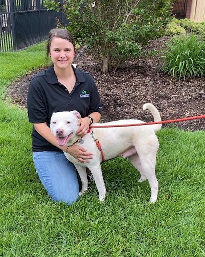 Auto Body Shop «Schaefer Autobody Centers - Columbia, MO», reviews and photos, 1306 N Creasy Springs Rd, Columbia, MO 65202, USA