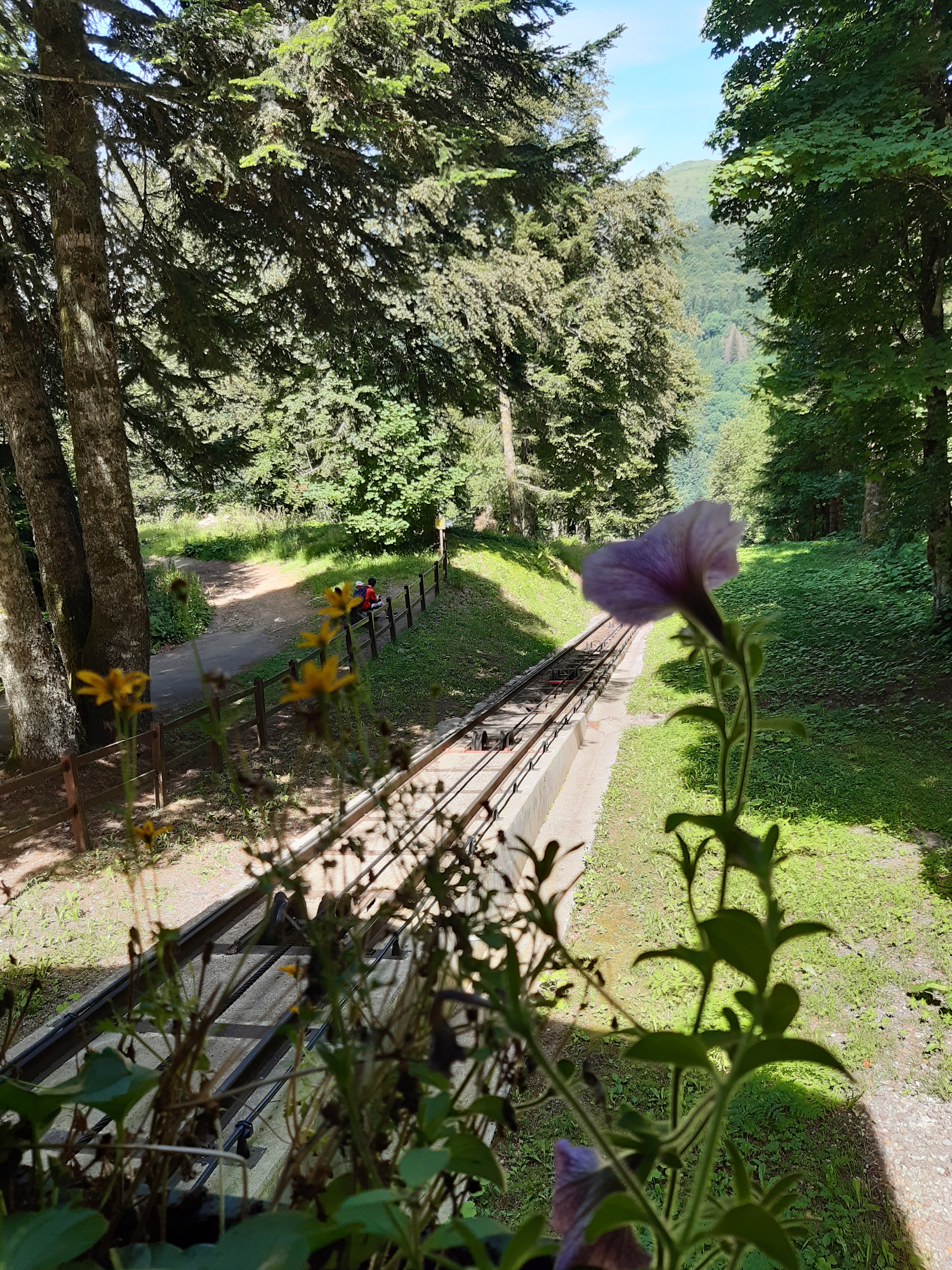 Photo n° 2 de l'avis de Sylvie.a fait le 14/07/2023 à 07:23