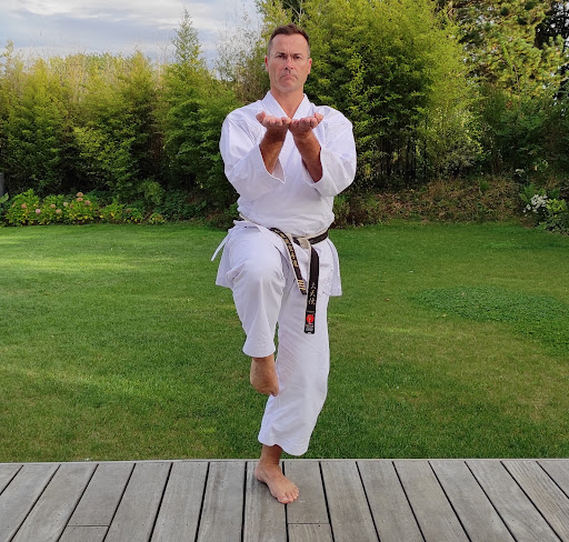 Ara Nami Dojo à Trévou-Tréguignec, Côtes-d’Armor