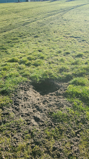 Park «Foster Memorial Park», reviews and photos, 13919 53rd Ave S, Tukwila, WA 98168, USA