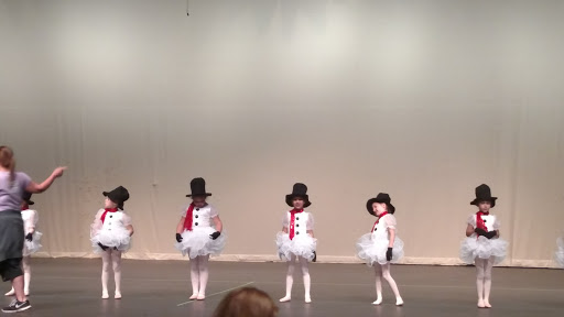 Performing Arts Theater «Jane Tasch Performing Arts Theatre», reviews and photos, 2100 E Michigan 36, Pinckney, MI 48169, USA