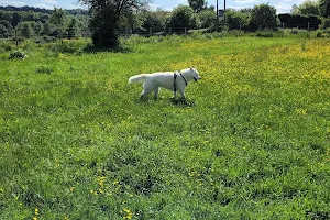 Wild Pawz Secure Dog Field image