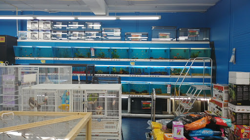 Pet Supply Store «Pet Supermarket», reviews and photos, 5000 Clyde Morris Blvd, Port Orange, FL 32127, USA