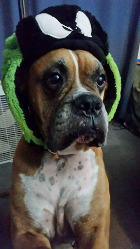 Explore scroll tattoo ideas, creative tattoo ideas in Vancouver, available at Shade & Lines Art Collective, Tattoo and body piercing