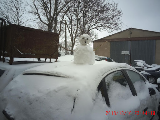 Photo 3 - Auto Pieces 43 Careco