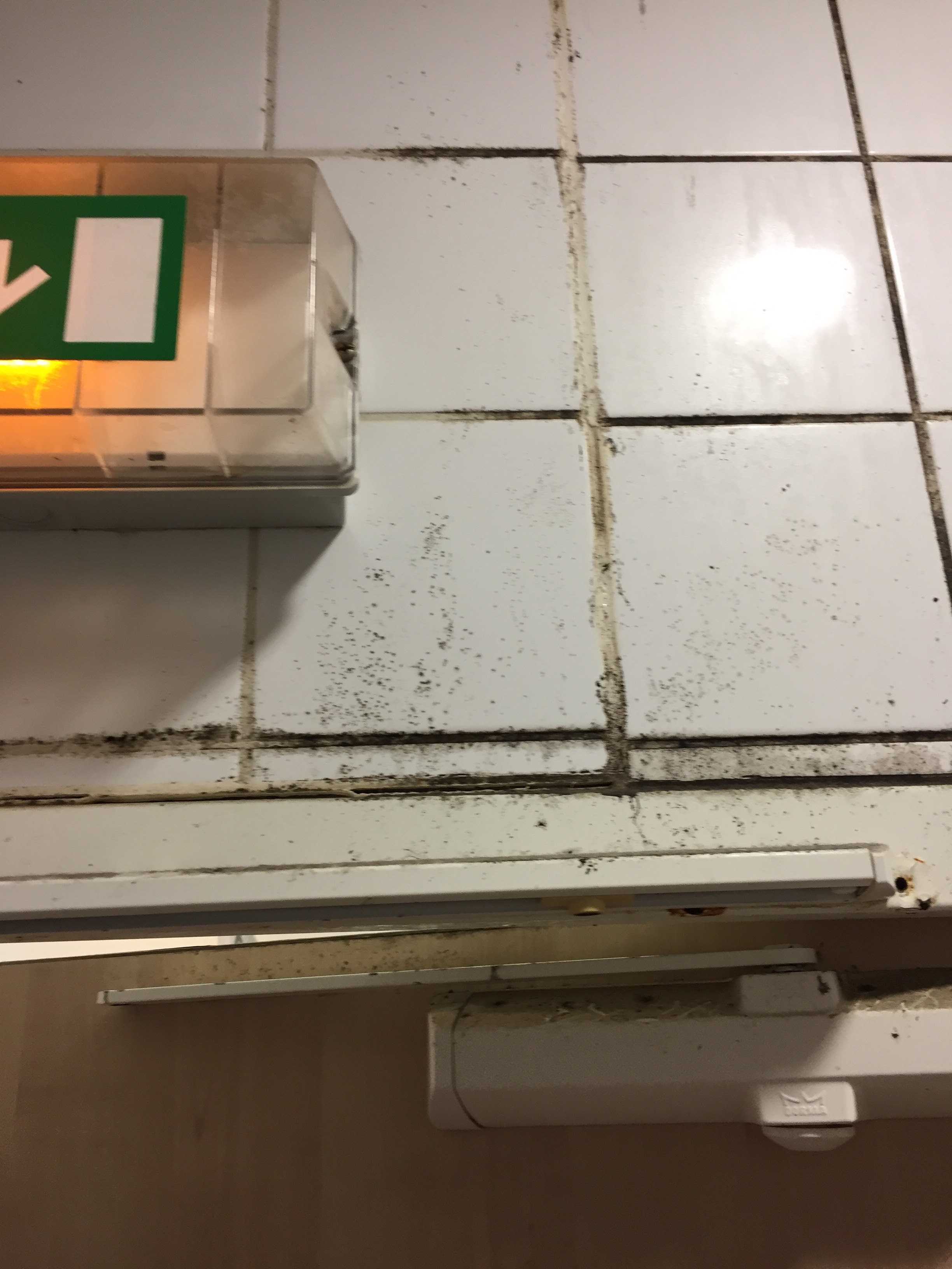 Photo n° 4 de l'avis de Alexandre.e fait le 25/03/2021 à 18:37