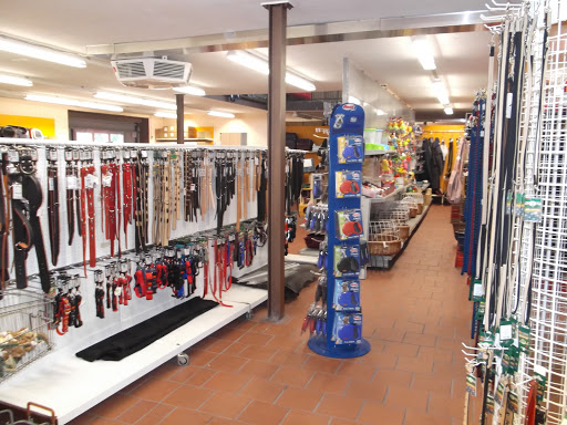 BB-Markt der kleinen Preise unter Ladbergen, 