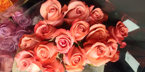 Supermarket «Giant», reviews and photos, 948 Bay Ridge Rd, Annapolis, MD 21403, USA