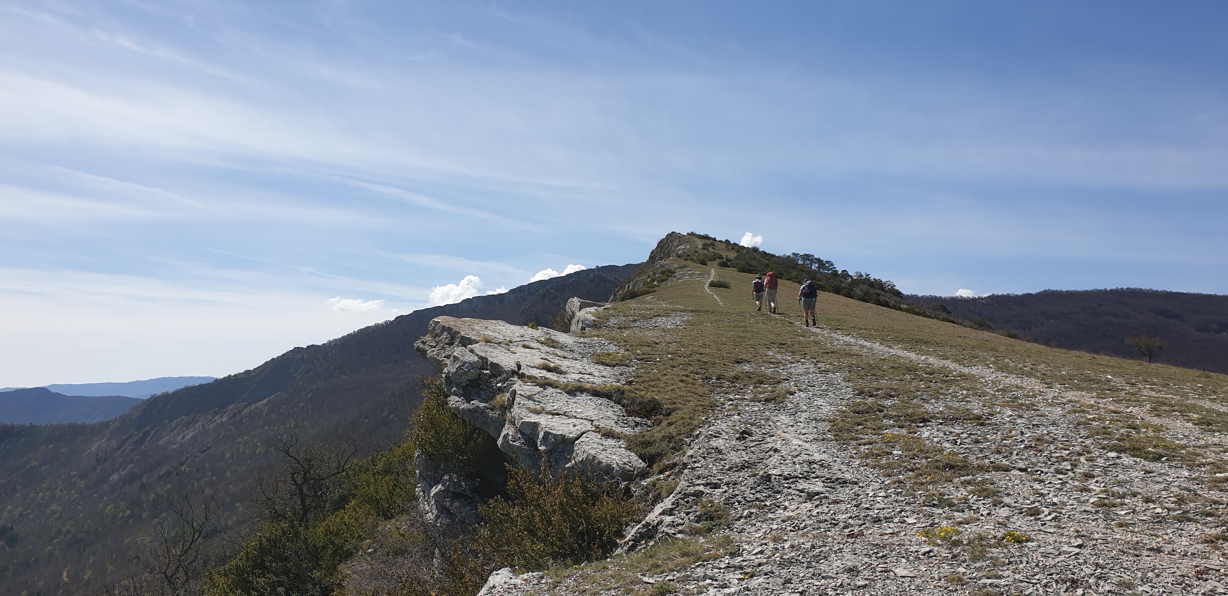 Photo n° 14 de l'avis de Asch. fait le 21/04/2019 à 05:26