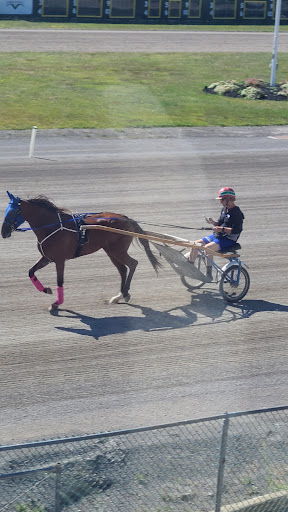 Casino «Batavia Downs Gaming», reviews and photos, 8315 Park Rd, Batavia, NY 14020, USA