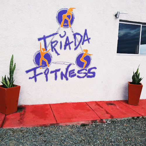 Opiniones de Triada Fitness en San Ramón - Gimnasio