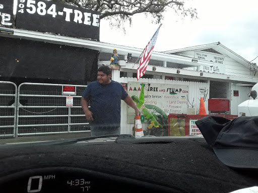 Auto Parts Store «NAPA Auto Parts - Genuine Parts Company», reviews and photos, 1505 Wells Rd, Orange Park, FL 32073, USA