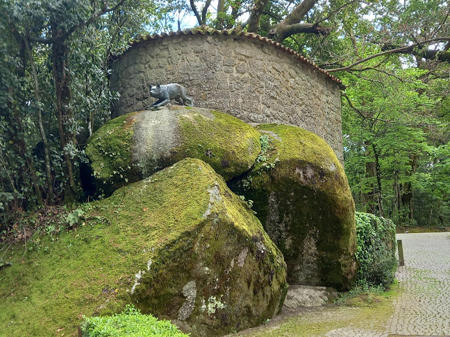 Comentários e avaliações sobre o Mata do Fontelo