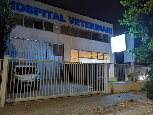 Vet24 Hospital Veterinario