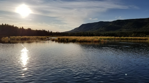 National Park «Katmai National Park and Preserve», reviews and photos