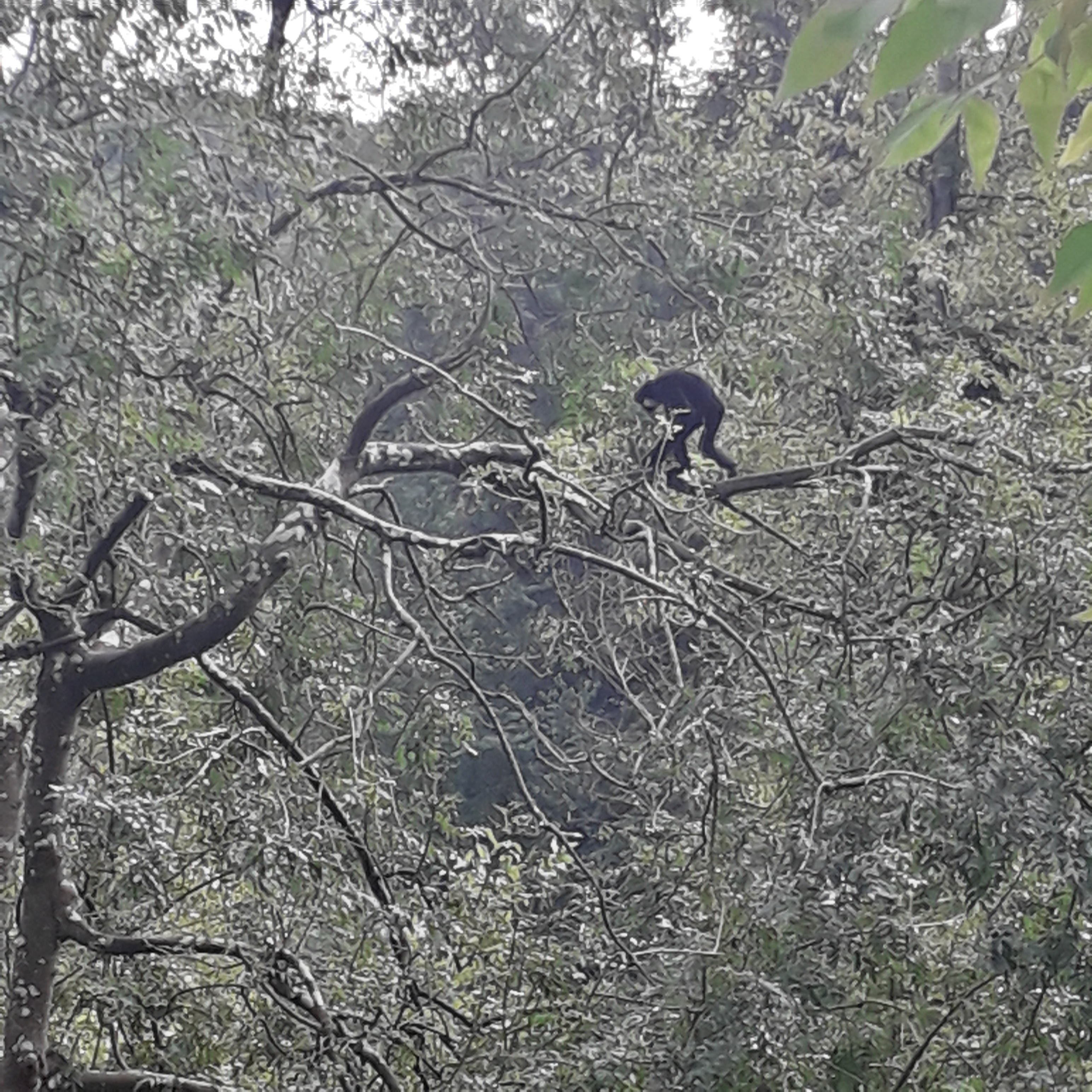 Photo n° 24 de l'avis de lilou.i fait le 19/09/2020 à 16:48