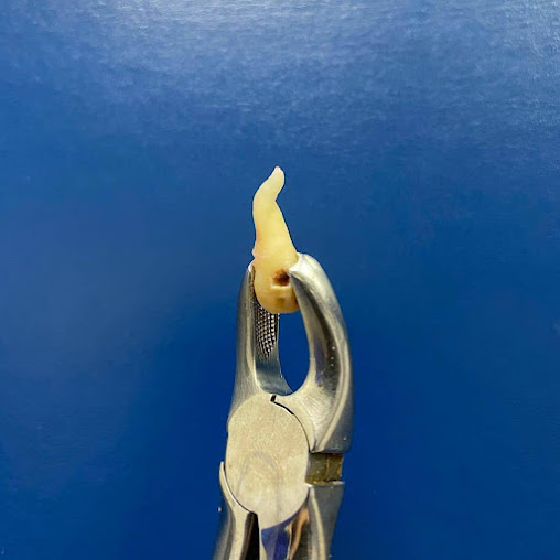 L and M Dental Clinic - L and M Dental Clinic