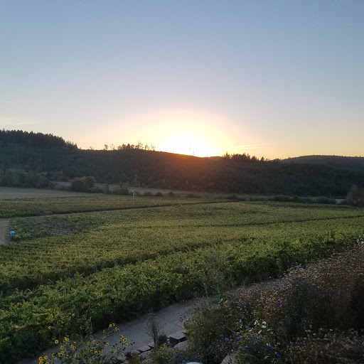 Winery «Airlie Winery», reviews and photos, 15305 Dunn Forest Rd, Monmouth, OR 97361, USA