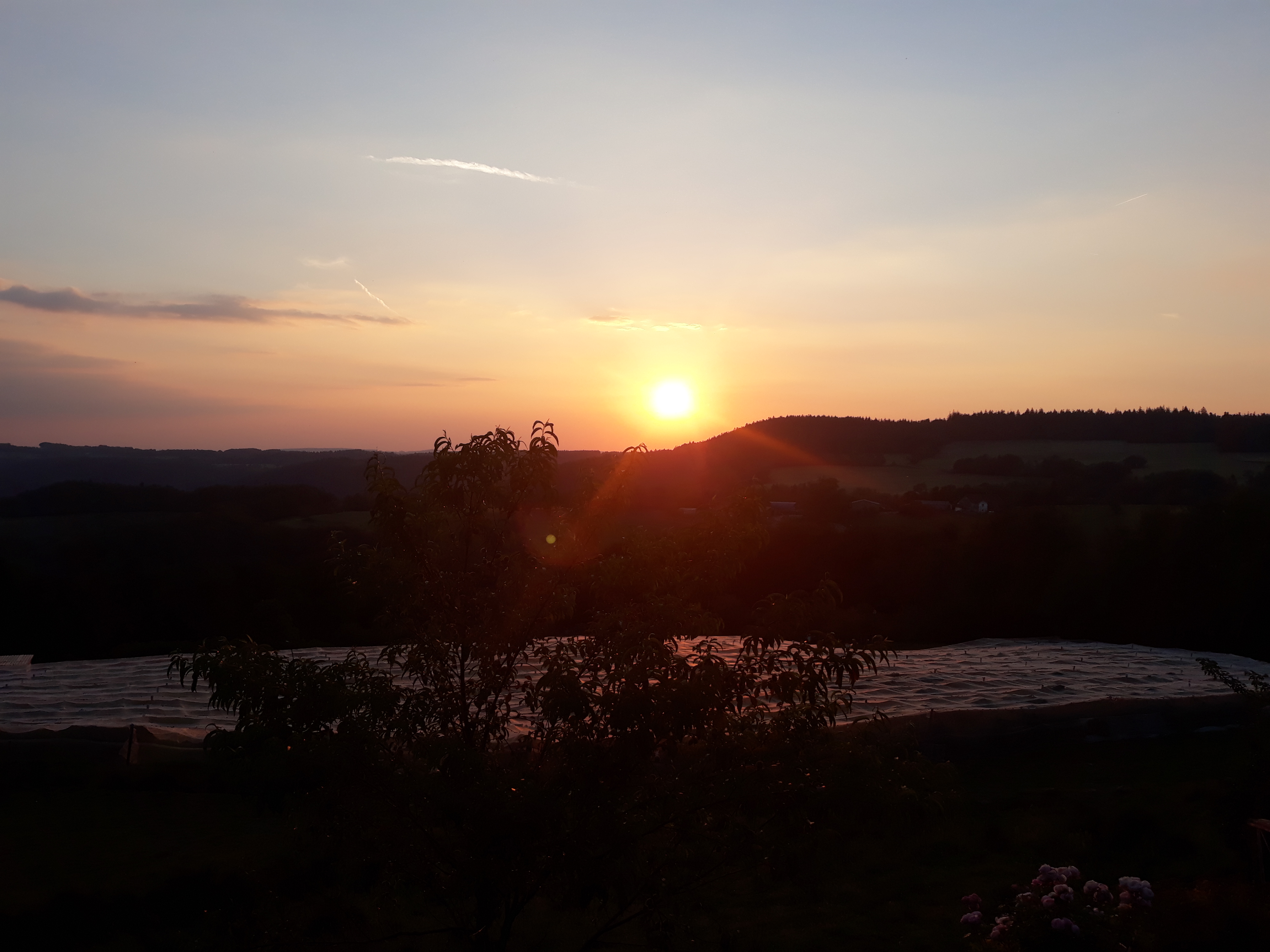Photo n° 12 de l'avis de Jean-jacques.A fait le 29/06/2018 à 21:57