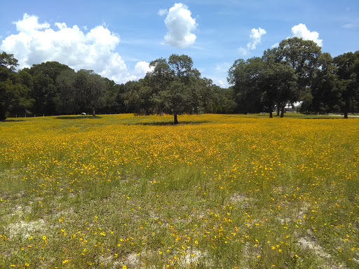 Winery «Dakotah Vineyards & Winery», reviews and photos, 14365 US-19, Chiefland, FL 32626, USA