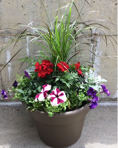 Florist «Paul Wood Florist», reviews and photos, 111 W Olive St, Fort Collins, CO 80524, USA