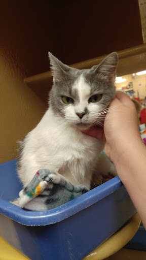 Pet Supply Store «PetSmart», reviews and photos, 2300 Gary Farm Blvd #600, Bowling Green, KY 42104, USA