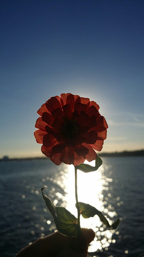 Memorial Park «Beverly David S Lynch Park», reviews and photos, 55 Ober St, Beverly, MA 01915, USA