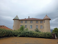 Château d'Aiguines du Restaurant Les 3 Cyprès à Aiguines - n°1