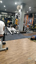 Avi The Gym
