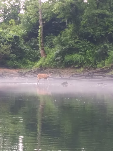 Canoe & Kayak Store «Caney Fork Outdoors - River Store», reviews and photos, 1193 Wolf Creek Rd, Silver Point, TN 38582, USA