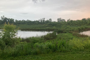 Delaware City Wetlands Park