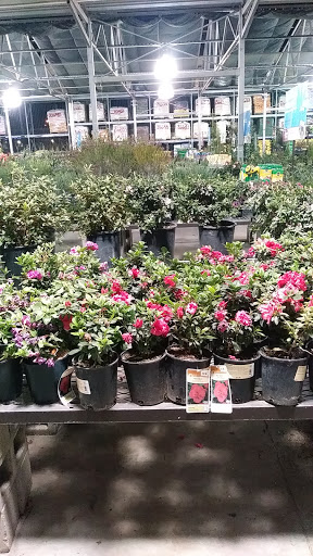 Lowes Home Improvement image