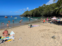 Foto de Anse Dufour e o assentamento