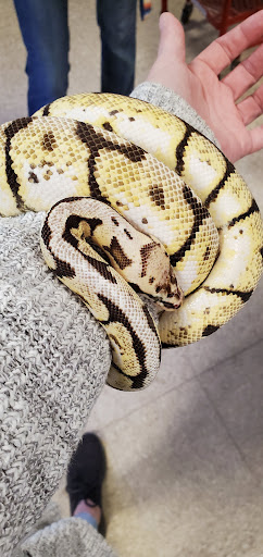 Pet Supply Store «PetSmart», reviews and photos, 777 S Willow St, Manchester, NH 03103, USA