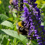Photo n°7 de l'avis de Georg.n fait le 08/07/2022 à 17:06 sur le  Café Schloß Türnich - 100% Bio à Kerpen