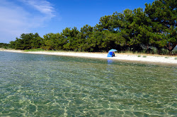 Φωτογραφία του Platana beach με επίπεδο καθαριότητας αρκετά καθαρό