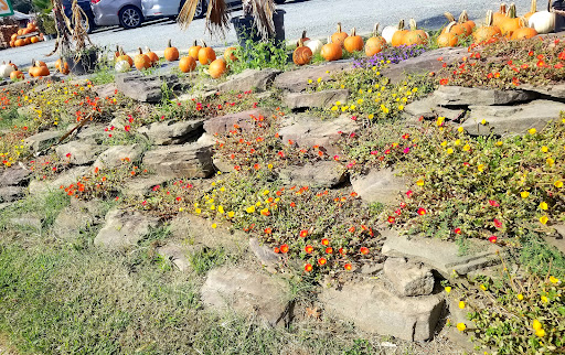 Garden Center «Nalls Produce», reviews and photos, 7310 Beulah St, Alexandria, VA 22315, USA