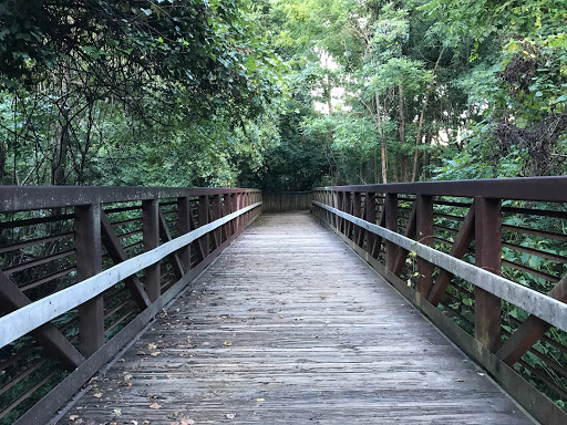 Mallard Creek Greenway