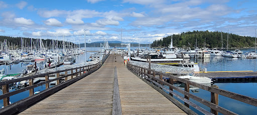 Museum «The Whale Museum», reviews and photos, 62 1st St, Friday Harbor, WA 98250, USA